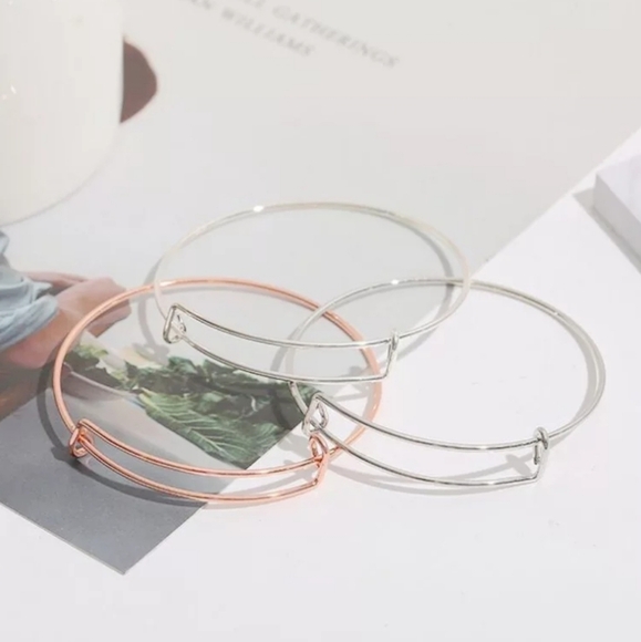 Stainless Steel Chatm Bangle 3 Colors Available - Picture 1 of 7